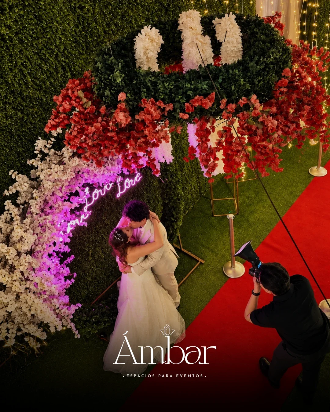 jardin-ambar — pieza visual